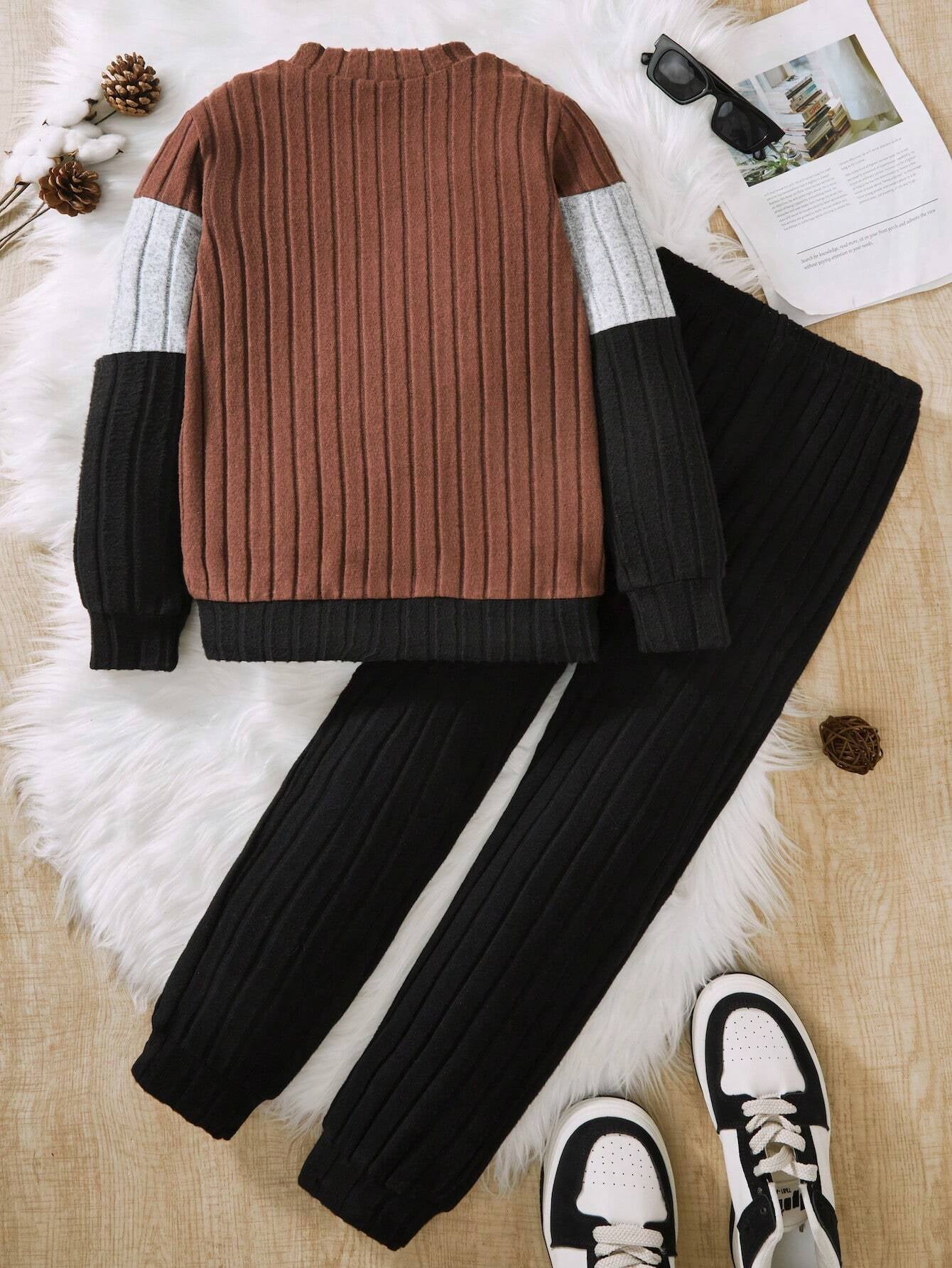 SHEIN Tween Boy Colorblock Letter Patched Detail Sweatshirt & Sweatpants